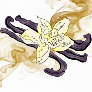 Vanília ízű e-liquid