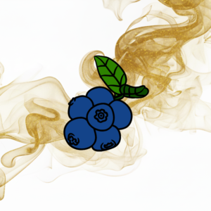 Fekete áfonya ízű e-liquid